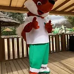 Kamp alanı Le Chassezac Sampzon